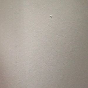 Meet your Posher, Clare